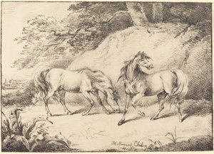 Villihevoset